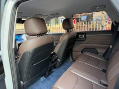 Wuling Starlight 560 New Energy Plug-in Hybrid 125km Luxury - ფოტო 11