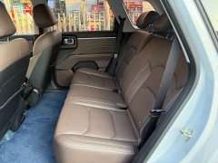 Wuling Starlight 560 New Energy Plug-in Hybrid 125km Luxury - ფოტო 12