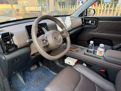 Wuling Starlight 560 New Energy Plug-in Hybrid 125km Luxury - ფოტო 7