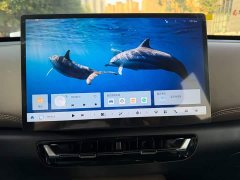 Wuling Starlight 560 New Energy Plug-in Hybrid 125km Luxury - ფოტო 9
