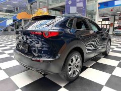 Mazda CX-30 2.0L Automatic Jia Yue Edition - ფოტო 18