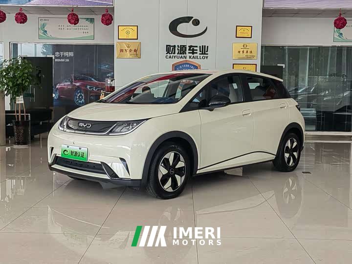 BYD Dolphin 420km Freedom Edition - ავტომობილი ჩინეთიდან