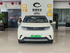 BYD Dolphin 420km Freedom Edition - ფოტო 2