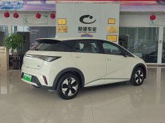 BYD Dolphin 420km Freedom Edition - ფოტო 3