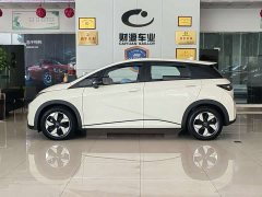 BYD Dolphin 420km Freedom Edition - ფოტო 4