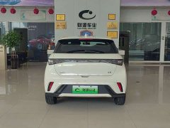 BYD Dolphin 420km Freedom Edition - ფოტო 5