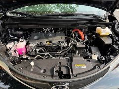 Toyota Sienna 2.5L Hybrid AWD Luxury - ფოტო 12