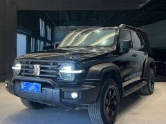 Tank 300 Off-Road Edition 2.0T Conqueror - ფოტო 1
