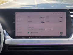 Xpeng Xiaopeng P7 480E - ფოტო 11