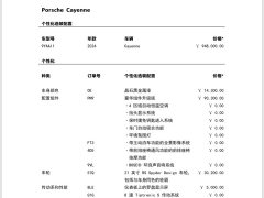Porsche Cayenne 3.0T - ფოტო 16