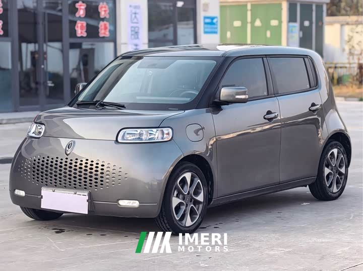 ORA White Cat 305km Luxury - ავტომობილი ჩინეთიდან