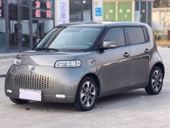 ORA White Cat 305km Luxury - ფოტო 1