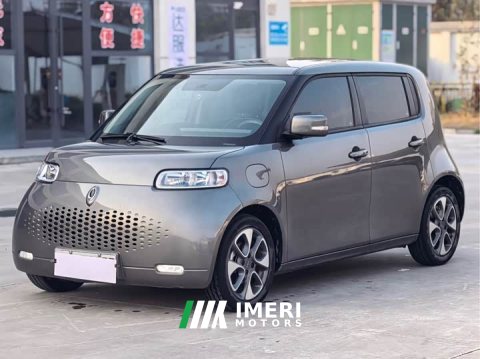 2021 ORA White Cat 305km Luxury - ავტომობილი ჩინეთიდან
