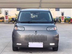 ORA White Cat 305km Luxury - ფოტო 2
