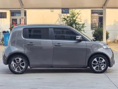 ORA White Cat 305km Luxury - ფოტო 4