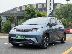 BYD Dolphin 420km Fashion Edition - ფოტო 1