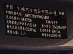 Haval H5 2.0T Automatic Two-Wheel Drive Leader Gasoline - ფოტო 12
