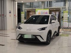 BYD Seagull Glory Edition 305km Freedom Version - ფოტო 1