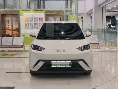 BYD Seagull Glory Edition 305km Freedom Version - ფოტო 2