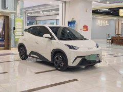 BYD Seagull Glory Edition 305km Freedom Version - ფოტო 3