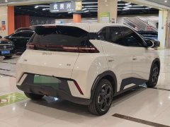 BYD Seagull Glory Edition 305km Freedom Version - ფოტო 7
