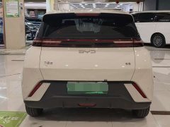 BYD Seagull Glory Edition 305km Freedom Version - ფოტო 8