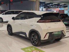 BYD Seagull Glory Edition 305km Freedom Version - ფოტო 9