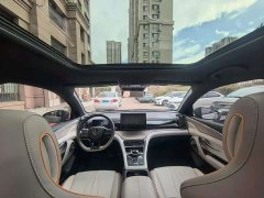BYD Song Pro New Energy DM-i 110KM Glory Edition Exceed - ფოტო 5