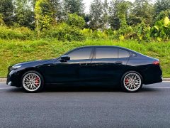 BMW 5 Series 530Li Luxury M Sport Package - ფოტო 4