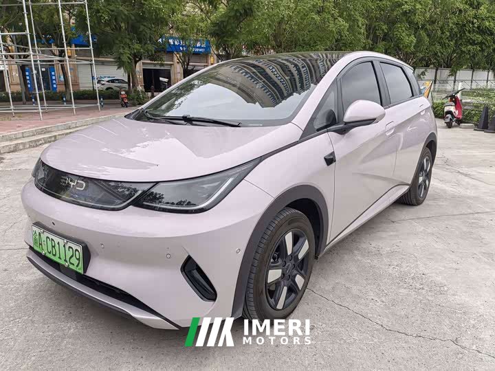 BYD Dolphin Smart Drive 410km Fashion Edition