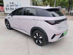 BYD Dolphin Smart Drive 410km Fashion Edition - ფოტო 2