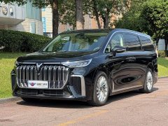 Voyah Dream PHEV Extended Range Luxury Edition - ფოტო 1