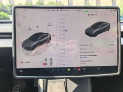 Tesla Model 3 Rear-Wheel Drive - ფოტო 9