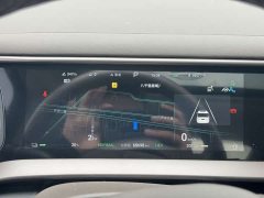 Denza D9 DM-i 970 AWD Flagship - ფოტო 7