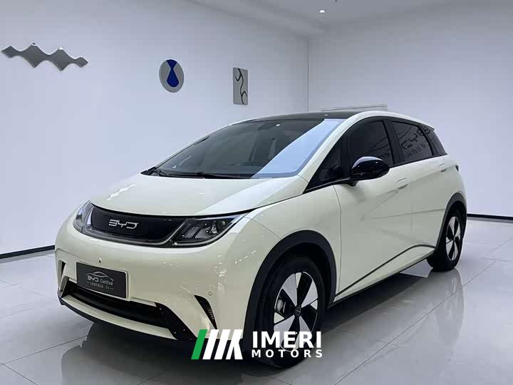 BYD Dolphin 420km Fashion Edition