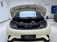 BYD Dolphin 420km Fashion Edition - ფოტო 2