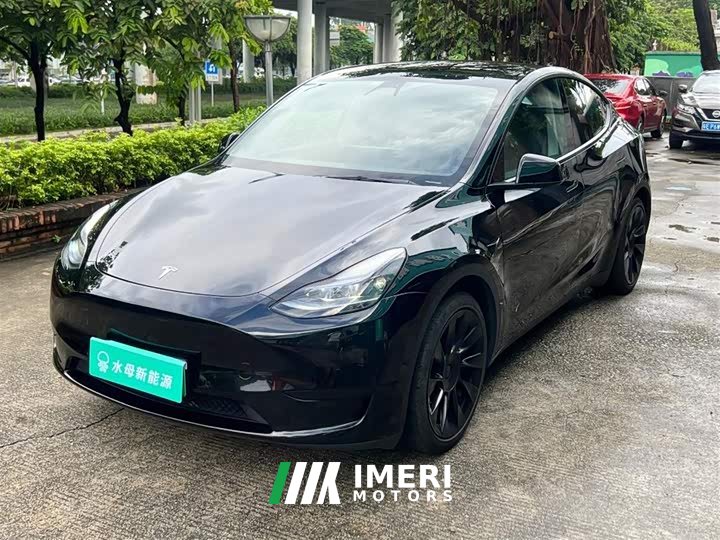 Tesla Model Y Rear-Wheel Drive