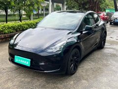 Tesla Model Y Rear-Wheel Drive - ფოტო 1