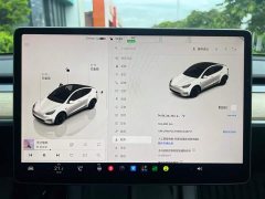 Tesla Model Y Rear-Wheel Drive - ფოტო 10