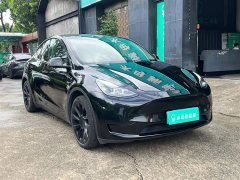Tesla Model Y Rear-Wheel Drive - ფოტო 12
