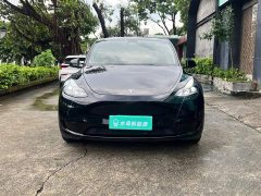 Tesla Model Y Rear-Wheel Drive - ფოტო 2
