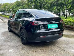 Tesla Model Y Rear-Wheel Drive - ფოტო 6