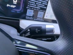 Geely Geometry E Firefly 301km Starlight - ფოტო 16