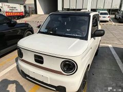 Geely Panda Mini 200km Endurance Edition - ფოტო 1