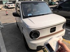 Geely Panda Mini 200km Endurance Edition - ფოტო 2