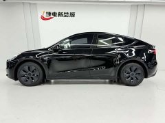 Tesla Model Y Rear-Wheel Drive - ფოტო 10