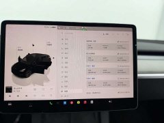 Tesla Model Y Rear-Wheel Drive - ფოტო 11