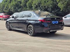 BMW 5 Series 530Li Luxury M Sport Package - ფოტო 9