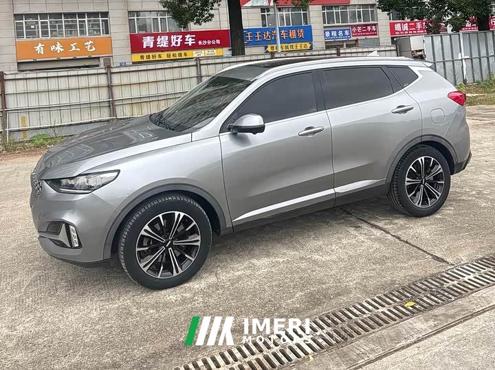 Great Wall WEY VV6 2.0T Two-Wheel Drive Smart Protection - ავტომობილი ჩინეთიდან