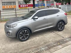 Great Wall WEY VV6 2.0T Two-Wheel Drive Smart Protection - ფოტო 1